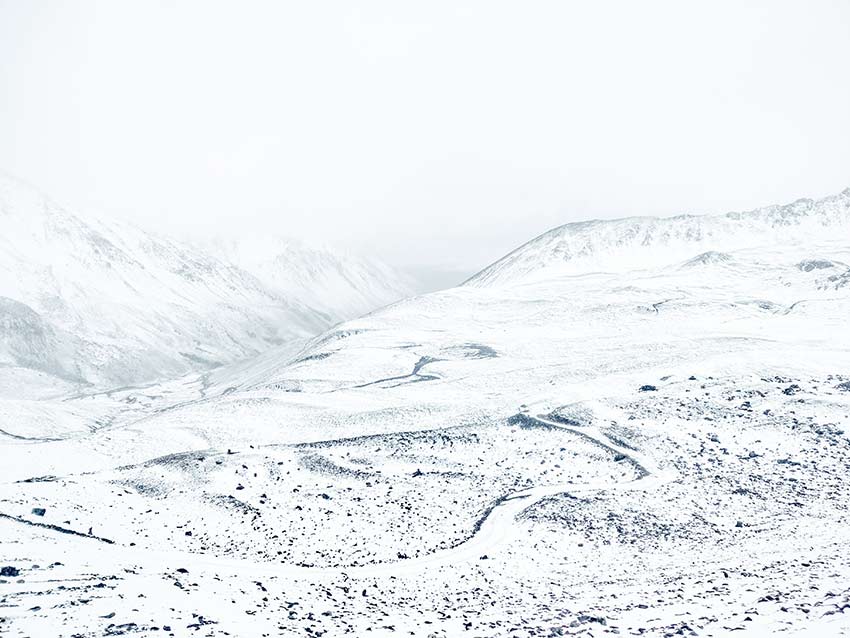 資料圖。云南白馬雪山國家級自然保護(hù)區(qū)供圖