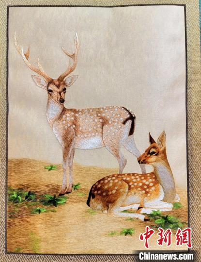 圖為藏繡作品?！∑钤鲚?攝
