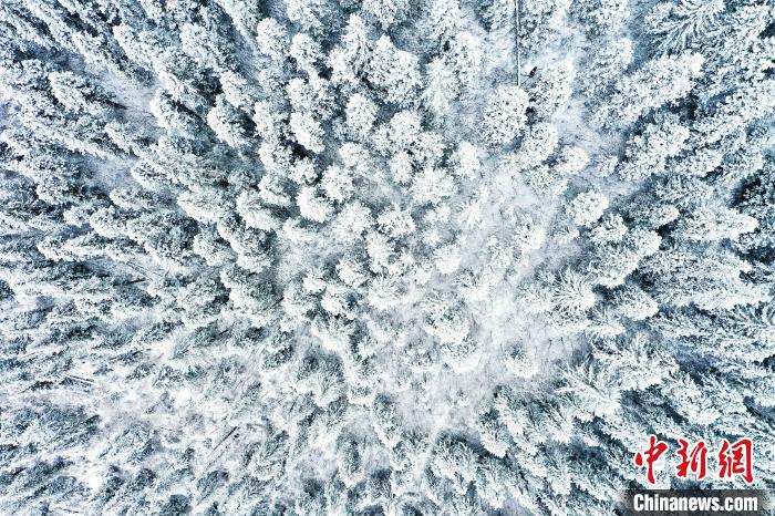 壤塘的雪后美景?！∪捞量h融媒體中心供圖