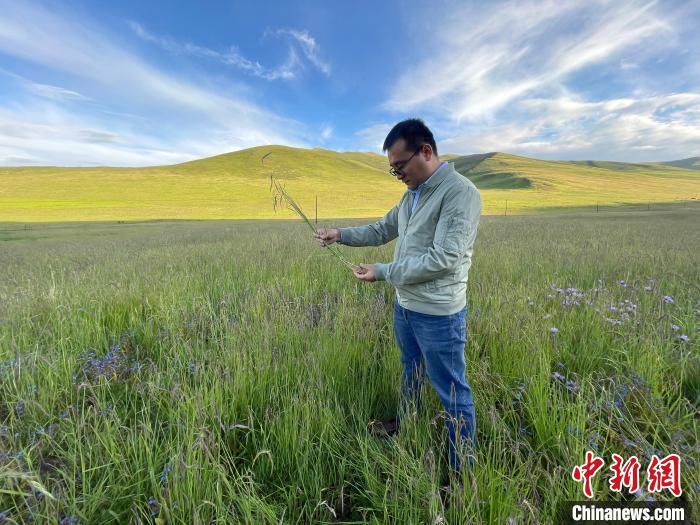 青海達(dá)日“援青縣長(zhǎng)”：雪域高原生態(tài)、民生“并蒂花開(kāi)”
