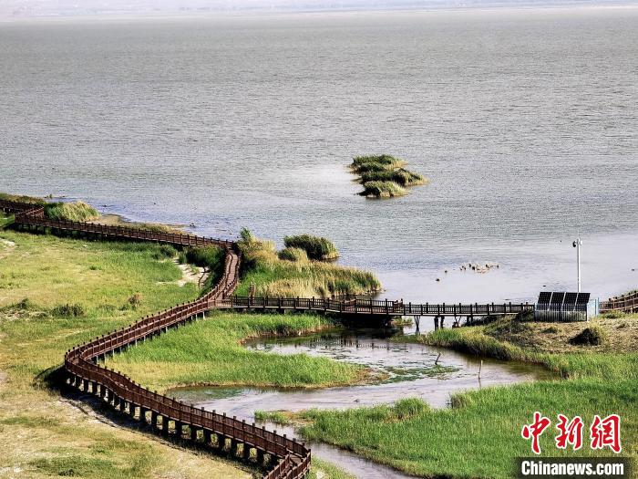 圖為都蘭湖國家濕地公園觀光棧道?！∑钤鲚?攝