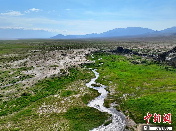 圖為航拍都蘭湖國家濕地公園綠意盎然?！∑钤鲚?攝