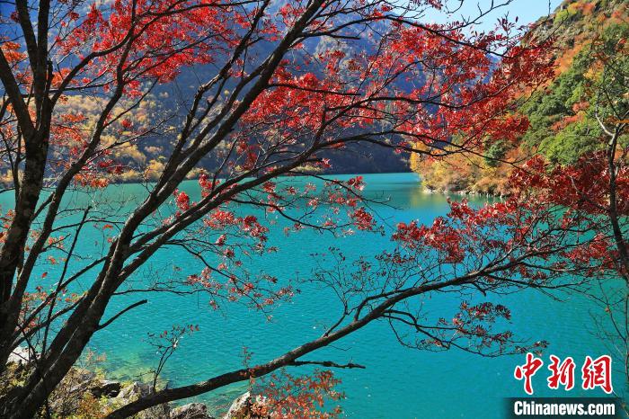 松坪溝風(fēng)光?！『吻搴?攝