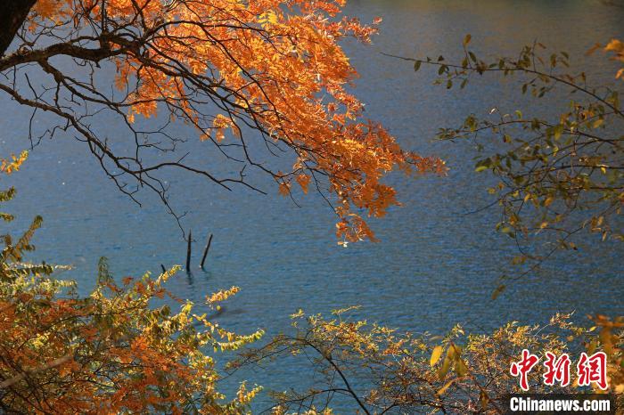 松坪溝風(fēng)光?！⑼?攝