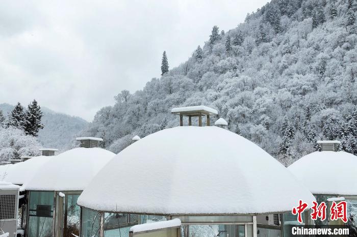 大熊貓國(guó)家公園王朗片區(qū)春雪如畫(huà)，宛若仙境?！×_春平 攝