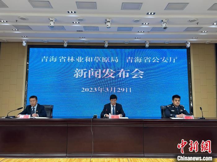 青海去年占用林地、草地準(zhǔn)予許可件同比實現(xiàn)“雙減”