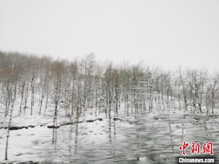 圖為青海青沙山區(qū)域被降雪覆蓋?！?zhí)砀?攝