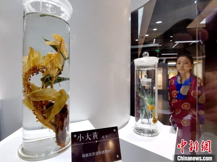 青海中藏醫(yī)藥發(fā)展提速：建設一批重點?？茖W科，推廣一批適宜技術