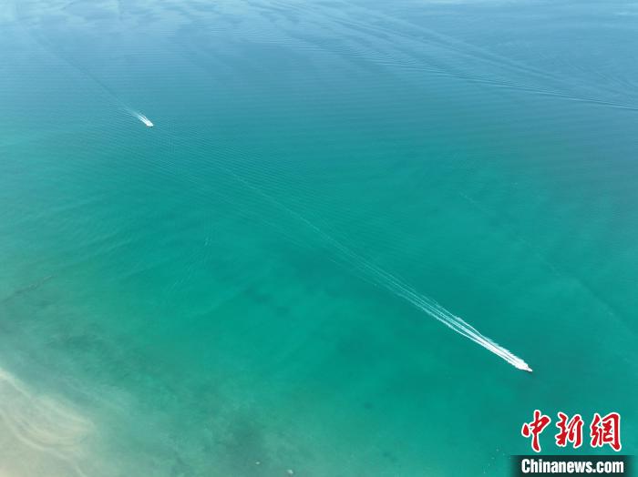 圖為航拍仲夏時節(jié)，青海湖湖水碧波蕩漾?！∑钤鲚?攝