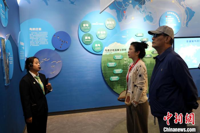 圖為臺(tái)商在祁連山國(guó)家公園生態(tài)科普館內(nèi)聆聽(tīng)講解?！⊙Φ?攝