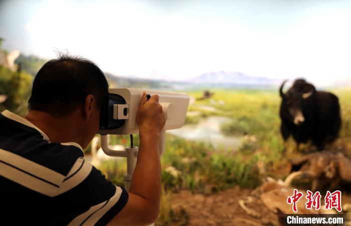 圖為臺(tái)商觀看祁連山國(guó)家公園生態(tài)科普館內(nèi)生態(tài)場(chǎng)景?！⊙Φ?攝