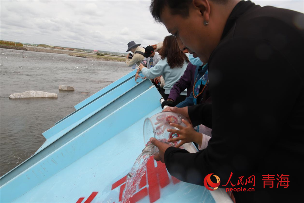 群眾放流青海湖裸鯉。人民網(wǎng) 陳明菊攝