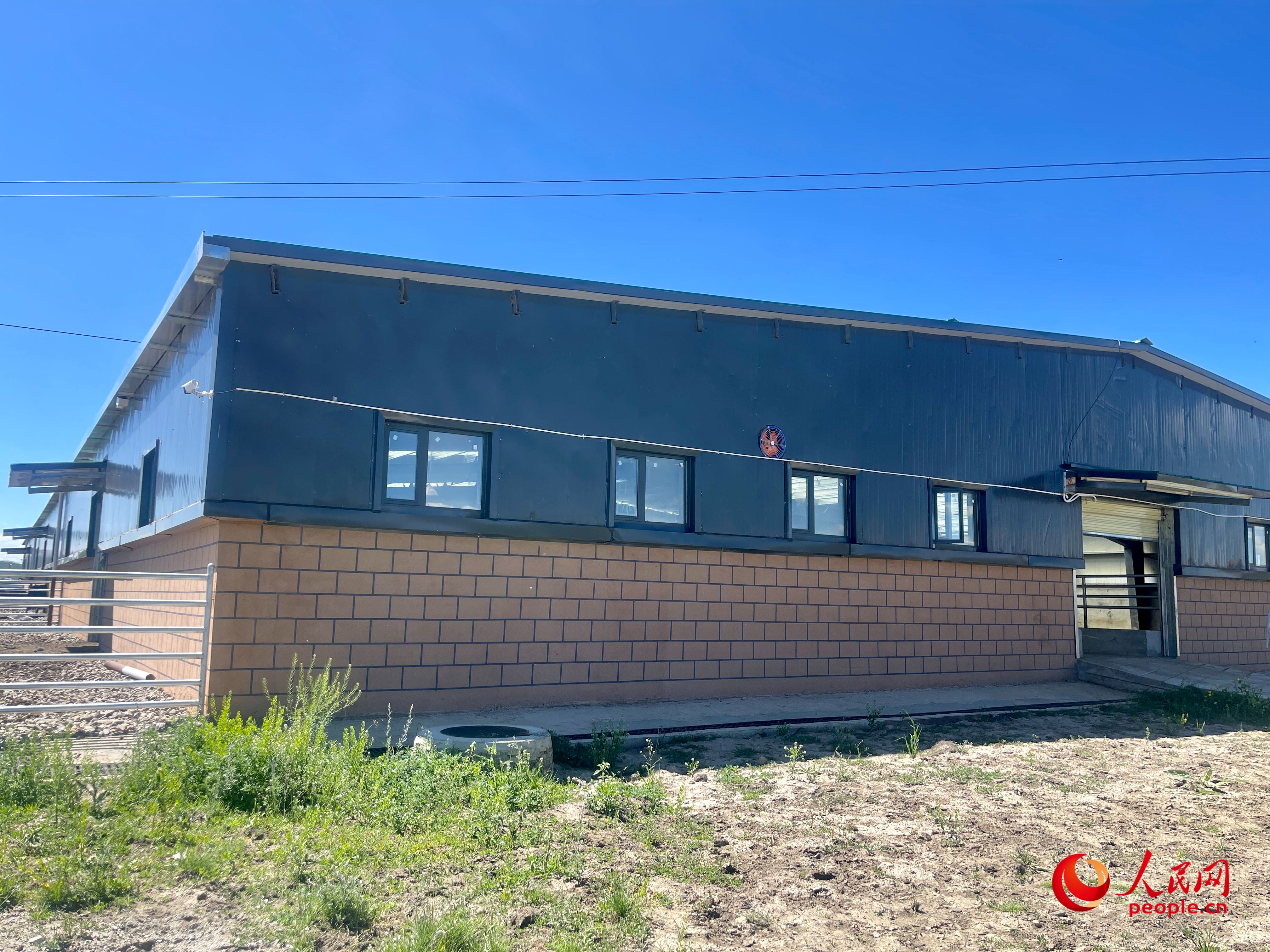 唐日合作社。人民網(wǎng) 周靜圓攝