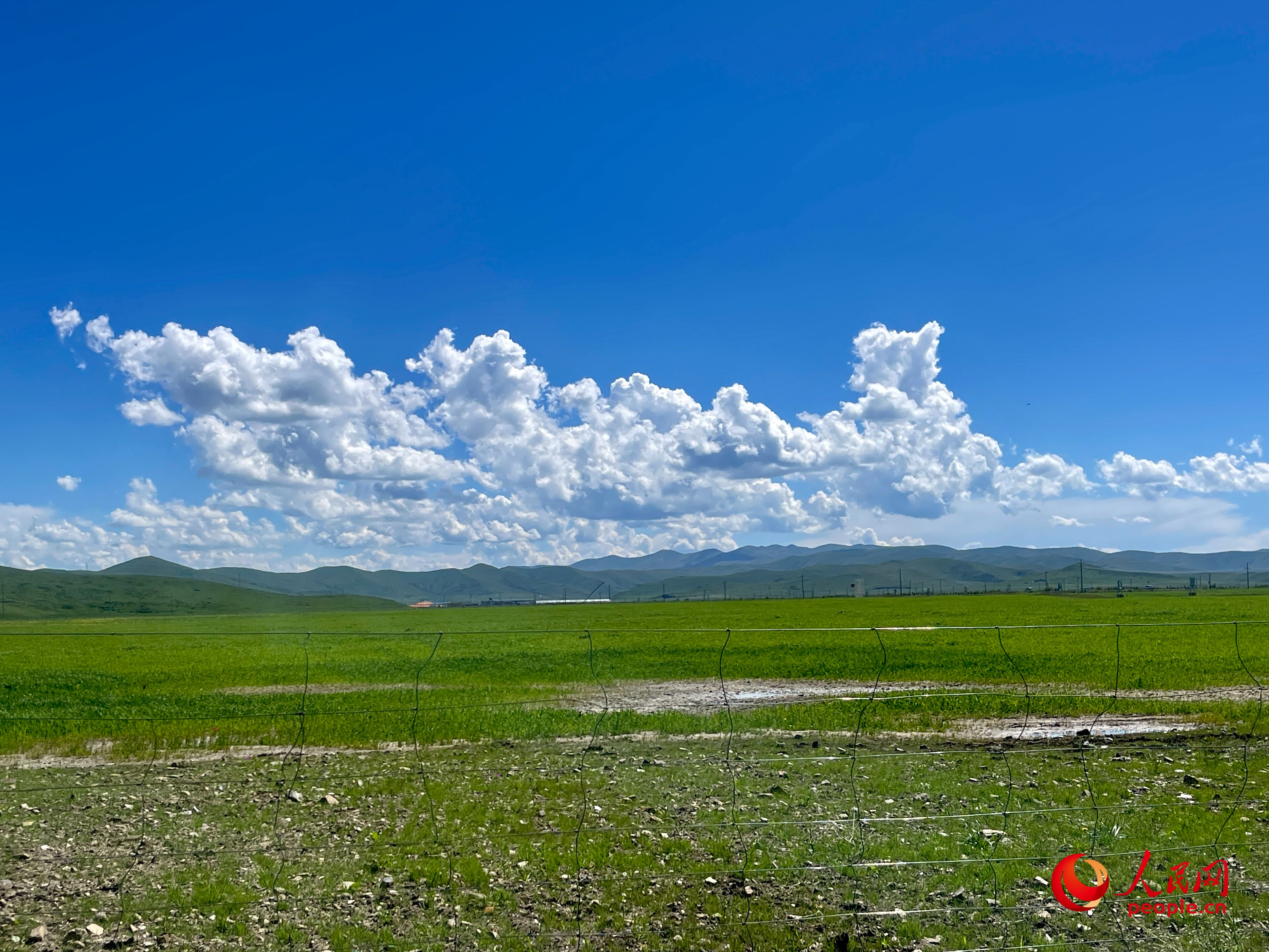 唐日合作社附近，藍(lán)天白天、綠草如茵。人民網(wǎng) 周靜圓攝
