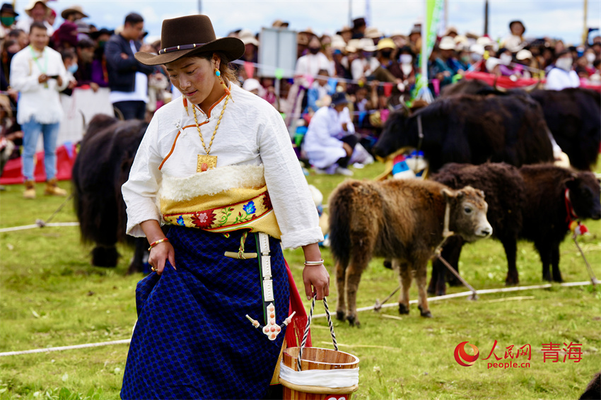 擠牦牛奶大賽。人民網 陳明菊攝