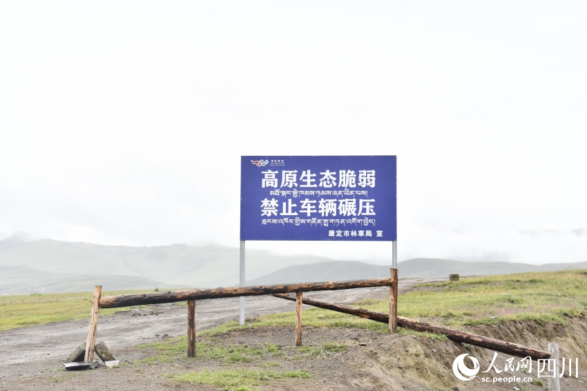 禁止車輛碾壓草原的提示牌。人民網記者 王洪江攝