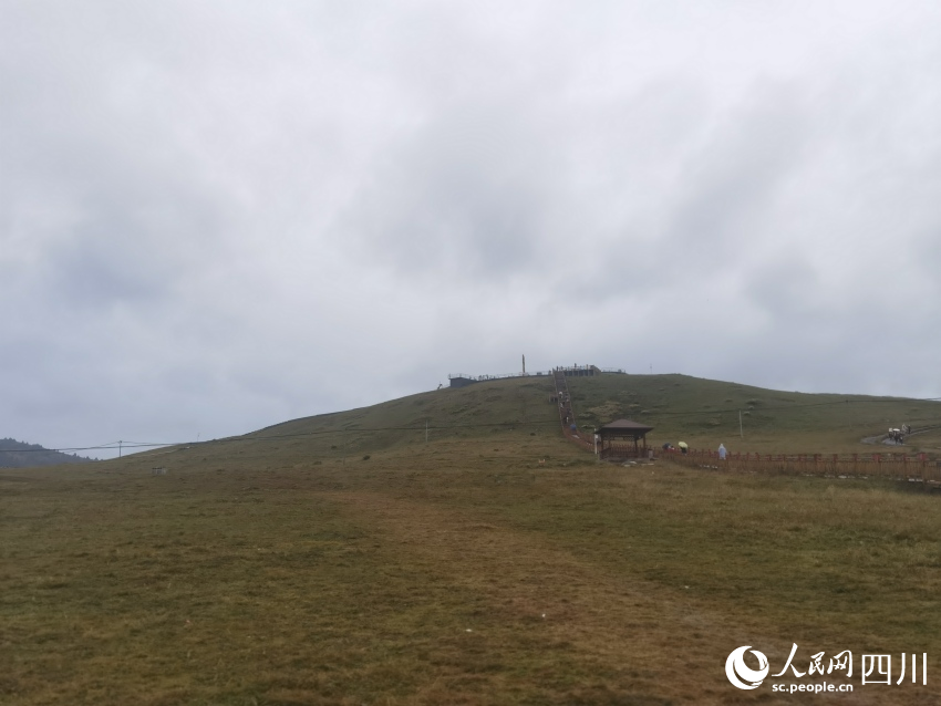 甘孜州塔公草原。人民網記者 王洪江攝