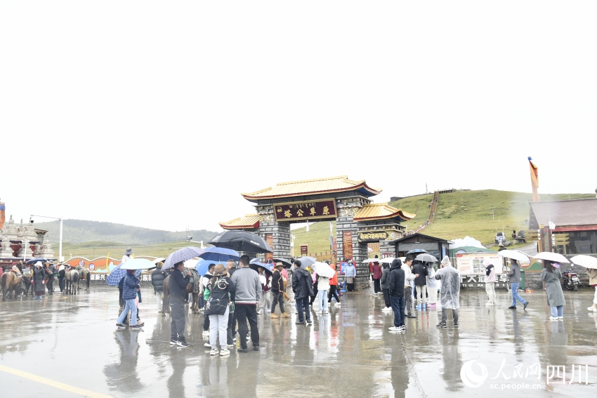 甘孜州塔公草原。人民網記者 王洪江攝