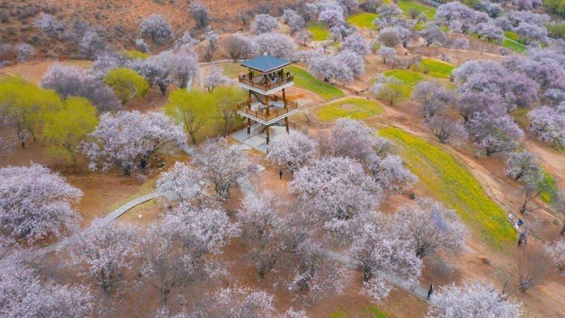 林芝嘎拉村。 張靜攝