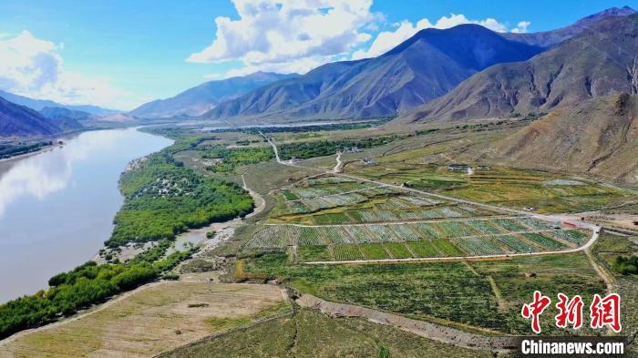 圖為桑日縣葡萄種植基地。　山南桑日縣委宣傳部提供