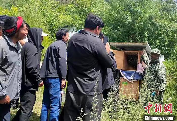 拉久西村村民學(xué)習(xí)養(yǎng)蜂工作流程和防范事項(xiàng)?！〔际忻⒖悼h委宣傳部供圖