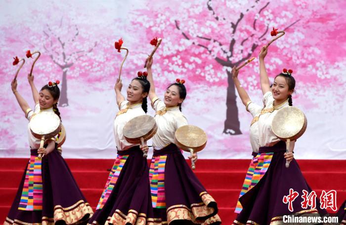 3月28日，西藏林芝第二十屆桃花旅游文化節(jié)開幕式上的文藝表演?！±盍?攝