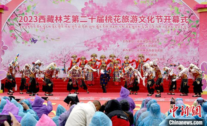 3月28日，西藏林芝第二十屆桃花旅游文化節(jié)開幕式上的文藝表演?！±盍?攝