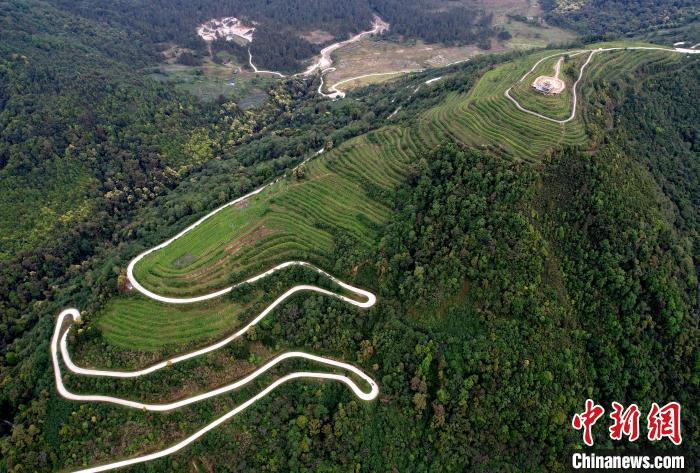 圖為西藏林芝市墨脫縣背崩鄉(xiāng)格林村山頂?shù)木坝^茶園。(無人機(jī)照片) 李林 攝