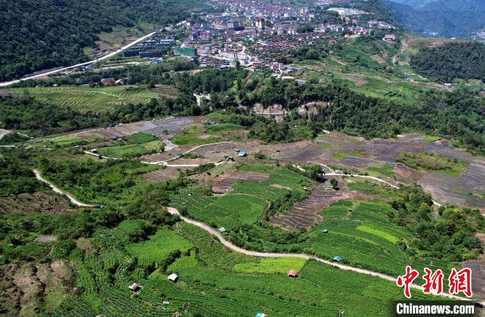 圖為西藏林芝市墨脫縣城附近的茶田。(無人機(jī)照片) 李林 攝