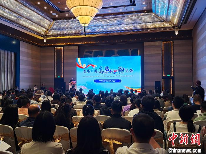 圖為首屆中國高原心胸大會現(xiàn)場?！☆D旦旺姆 攝