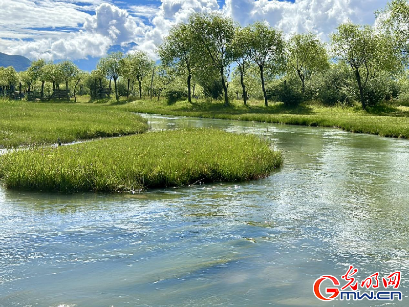 我們的家園丨【組圖】 綠水青山入畫，“金山銀山”筑起