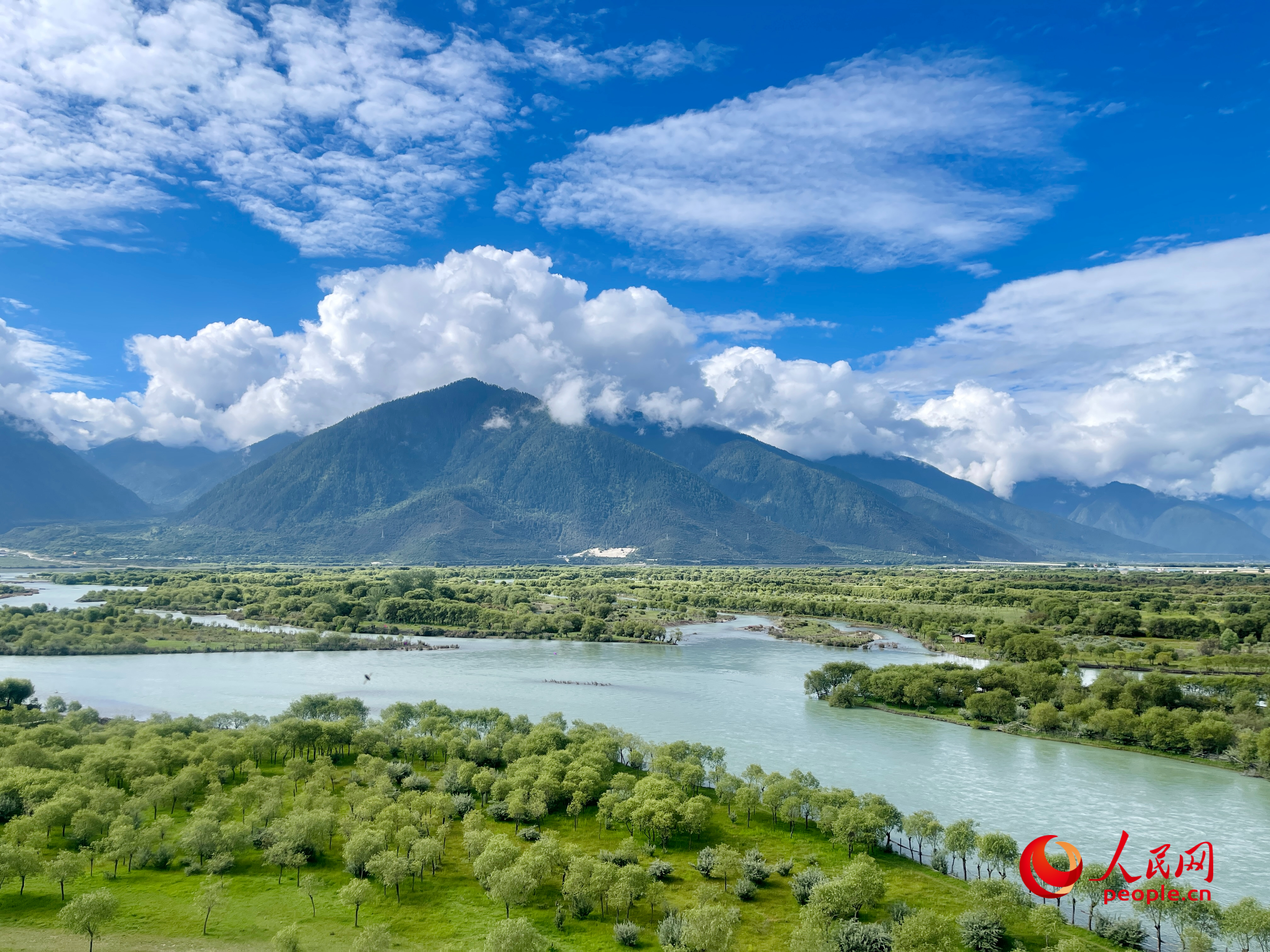 夏日的雅尼國家濕地公園生機盎然，如詩如畫。人民網(wǎng) 周靜圓攝