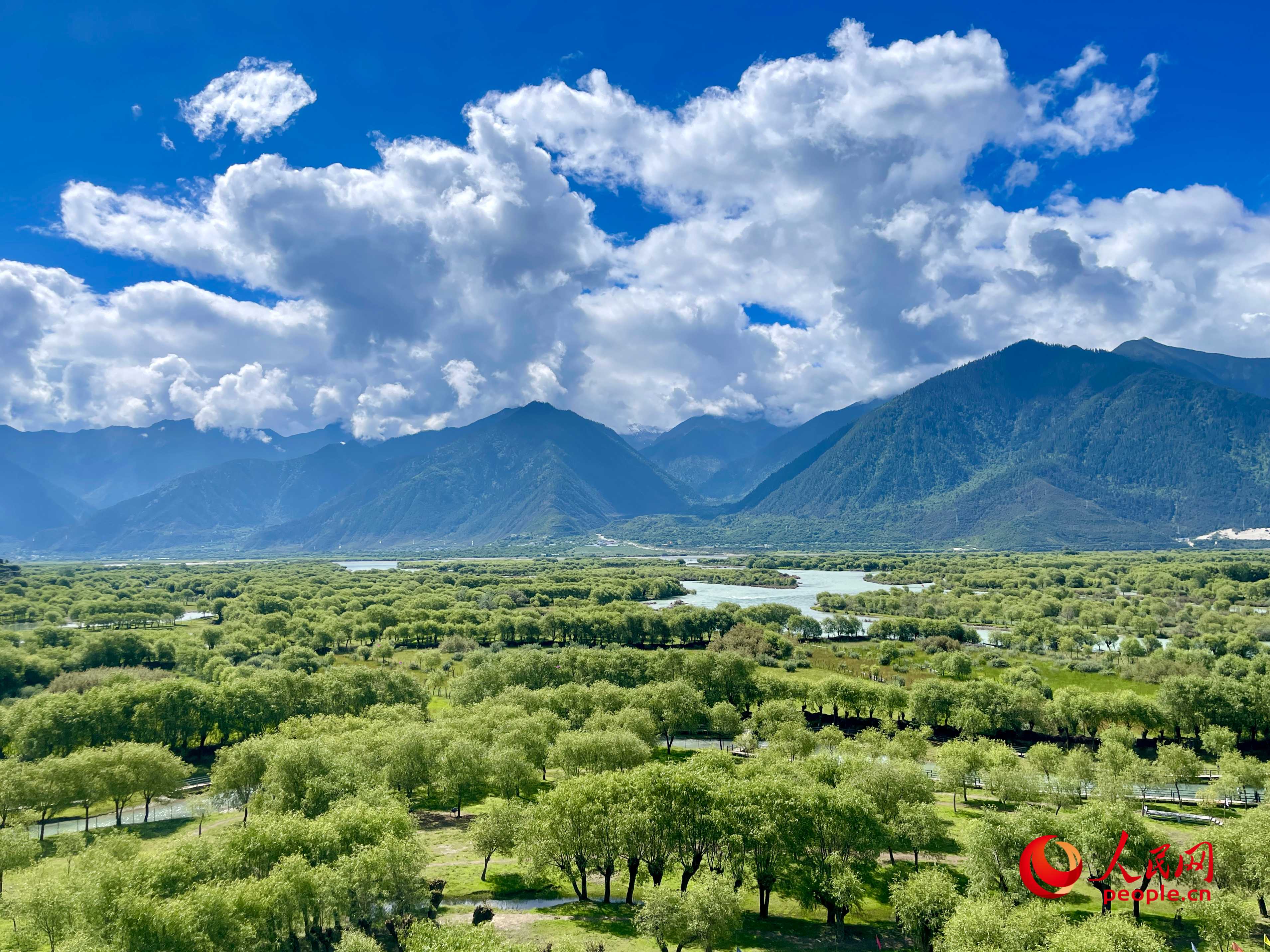 夏日的雅尼國家濕地公園生機盎然，如詩如畫。人民網(wǎng) 周靜圓攝