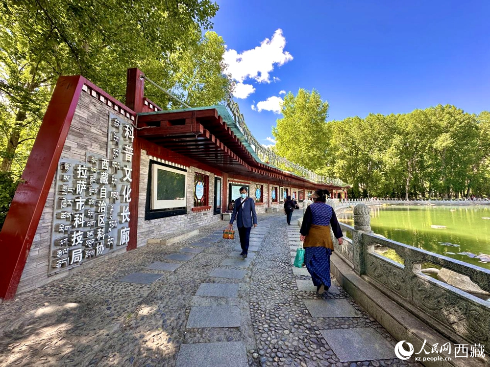 公園內(nèi)的科普文化長(zhǎng)廊。