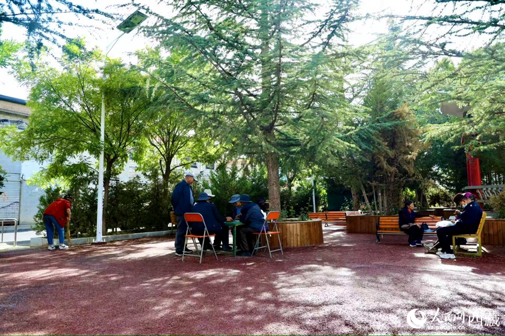 老人們?cè)诰G樹成蔭的“社區(qū)會(huì)客廳”中對(duì)弈休憩。人民網(wǎng)記者 次仁羅布攝