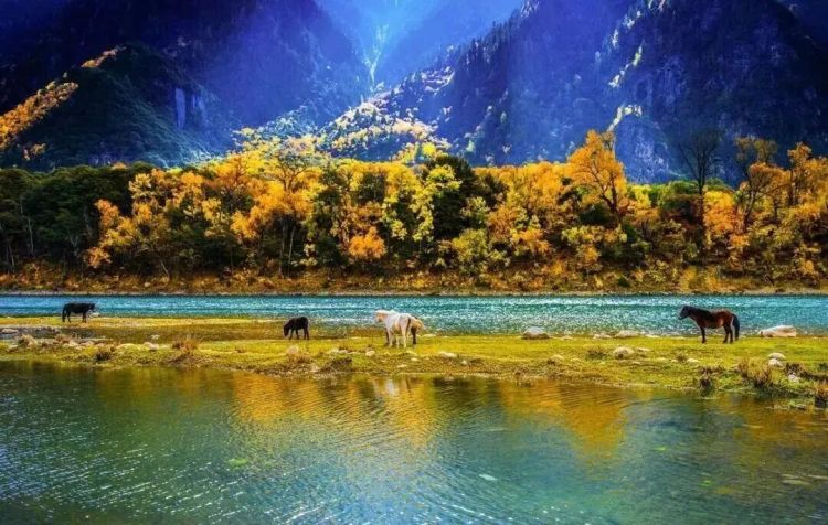 懂西藏的人，一定不會(huì)錯(cuò)過林芝的秋天