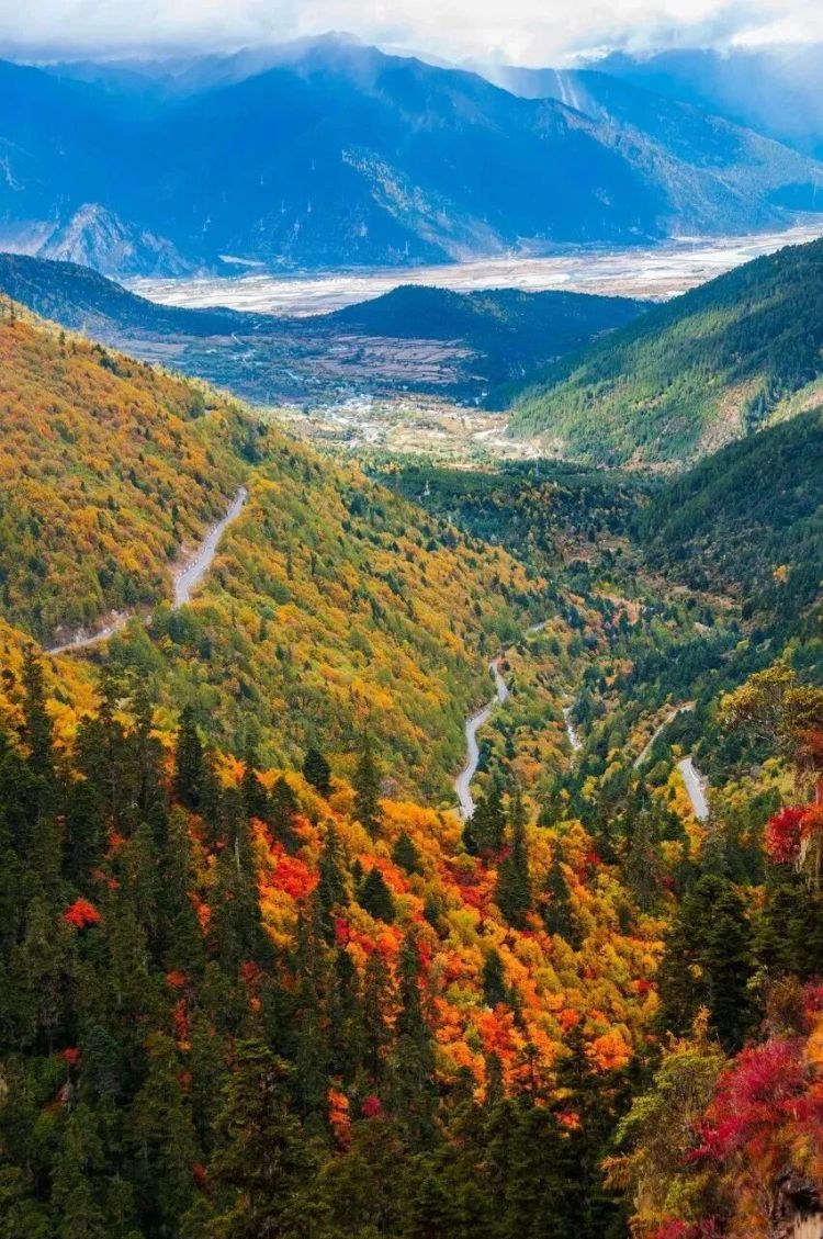 懂西藏的人，一定不會(huì)錯(cuò)過林芝的秋天