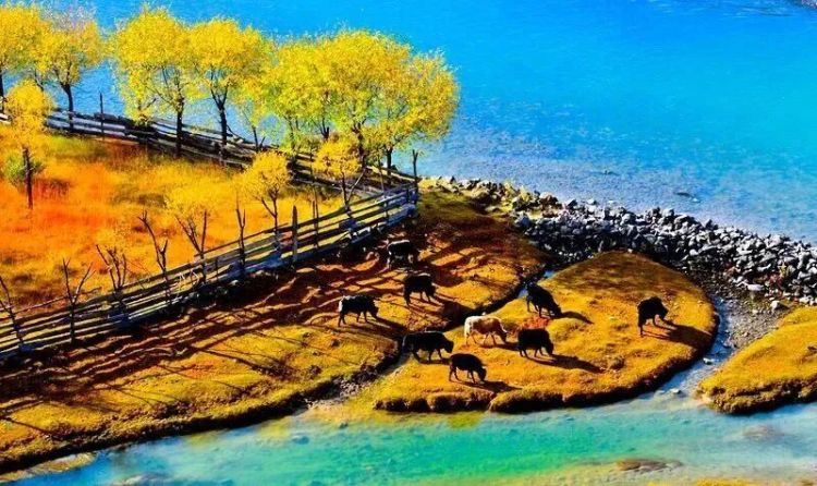 懂西藏的人，一定不會(huì)錯(cuò)過林芝的秋天