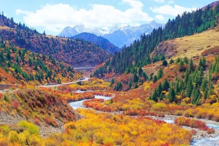 懂西藏的人，一定不會(huì)錯(cuò)過林芝的秋天