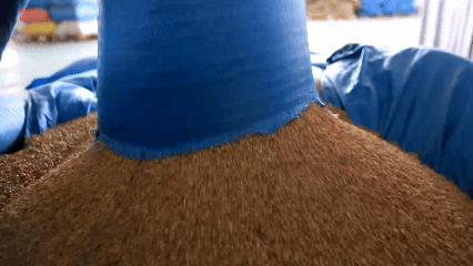 青稞“蛻變”，牦牛“出圈”！看西藏農(nóng)牧民的“十四五”豐收答卷